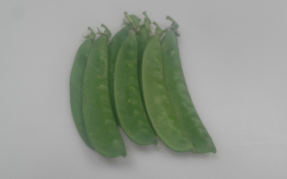 POIS MANGETOUT import vrac cat 2