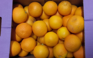 ORANGE BIO cat 2 4.00kg x 2.50€
