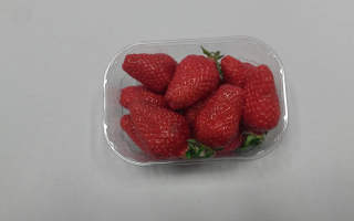 FRAISE GARIGUETTE 250 GR FRANCE CAT 1