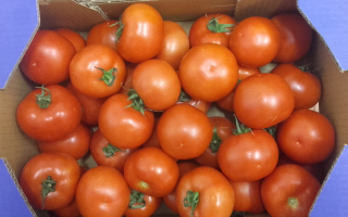 TOMATE RONDE cat 2 COLIS  6.45kg X3.41€