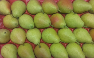 POIRE GUYOT France colis 4.50kg x 2.88€