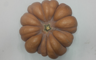 COURGE ENTI?RE France cat 2