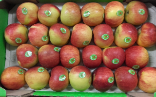 POMME JULIETTE BIO COLIS 5.13kg  x 3.41€