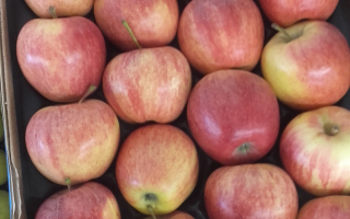POMME IDARED  COLIS 8.83kg x 1.60€