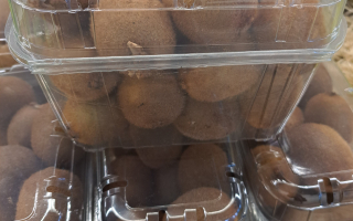 KIWI barquette 1 kg France ardeche cal 46