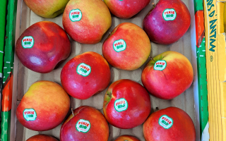 POMME pixie BIO France le colis 4.13kg x 2.90€