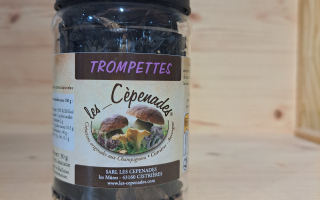 Trompette de la mort 30gr