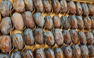 DATTE MEDJOUL  ISRAEL CAT2