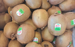 KIWI VERT BIO ITALIE CAT 2