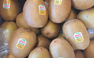 KIWI GOLD BIO Italie