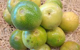 FRUIT DE LA PASSION  VERT KG VIETNAN CAT 2