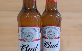 BUD BLONDE 5° 33CL