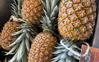 ANANAS A AVION kenya cat 2