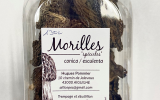 MORILLES sèche  25 grs