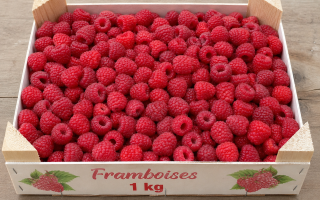 FRAMBOISE 1KG ESPAGNE CAT 2