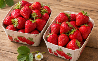 FRAISE 500gr  lot de 2 bqts