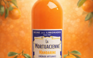 LIMONADE MANDARINE ARTISANAL 1L