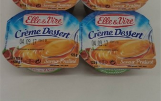 Crème dessert praliné (4x125gr)
