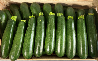 COURGETTE  cat 2 COLIS  9.00kg x 1.89€