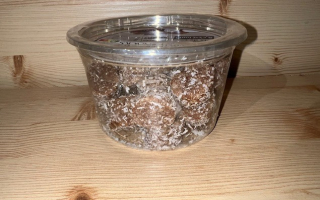 DATTE COCO POPS KARTAGO 250 GRS