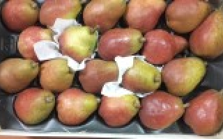 POIRE WILLIAMS rouge  au colis 3.50kg x 2.57€