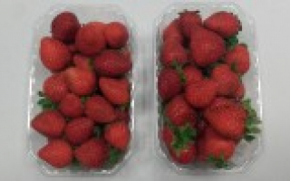 fraise Espagne lot de 2 barquettes de 500grs