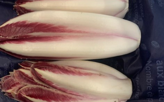 ENDIVE ROUGE France cat 2