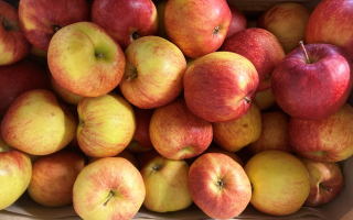 Pomme Jonagored COLIS 14.11kg x 1.58€