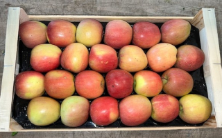 Pomme Fuji colis 4.06kg × 2.09€