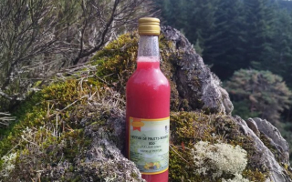 NECTAR FRUITS ROUGES BIO 50CL