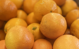 ORANGE maltaise tunisie cal 7 cat 1