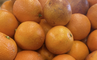 ORANGE SAGUINE Espagne cat 2