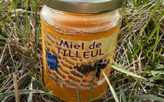 Miel Tilleul