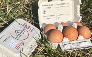 oeufs x 6 Haute Araules Sans OGM cat A cal 53/73