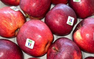 POMME  ROYAL GALA BIO FRANCE CAT 2 CAL 70