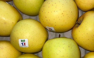 POMME Golden BIO France cat 2 cal 70