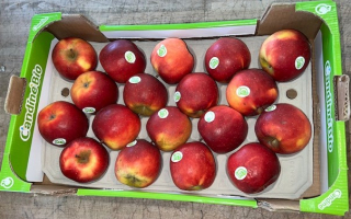 Pomme Candine  Colis 4.25 Kg× 2.82€