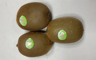 kiwi gros BIO lot de 3 pièces France cat 2 cal 25