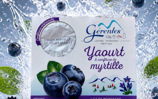 Yaourt au lait de montagne à la confiture de Myrtilles Gérentes x 4
