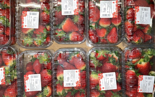 FRAISE bqt 500 grs Espagne cat 2