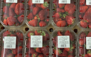 FRAISE barq 500 gr Espagne cat 1