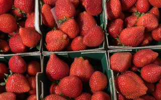 FRAISE clerry HVE 500 gr France provence cat 1