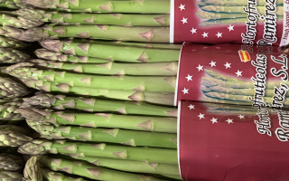 ASPERGE verte botte peroue cat 1