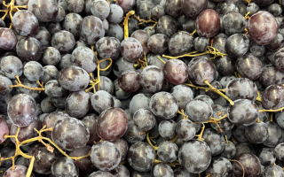 RAISIN MUSCAT FRANCE PROVENCE CAT2