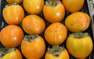 KAKI pomme espagne cat 1