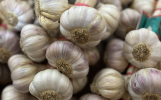 AIL TRESSE 1KG FRANCE CAT 2