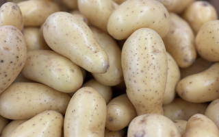 PT Celtiane nouvelle   France  COLIS  12.50kg x 2.16€