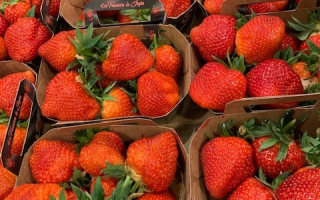 FRAISE cijose bqt 500grs France haute loire cat 2