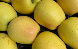 POMME GOLDEN France cal 190 cat 2