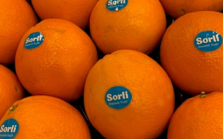 ORANGE lanelate gamin Espagne cal 3 cat 2